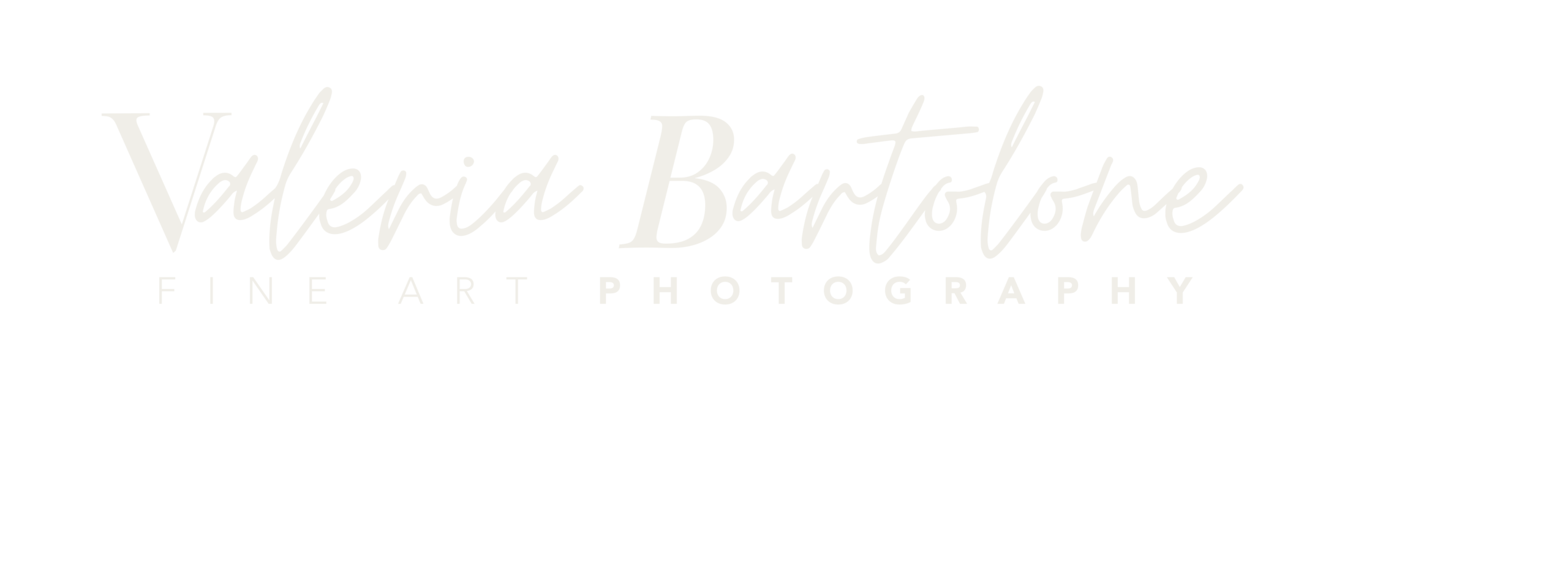 logo definitivoVB Logo scritta VB